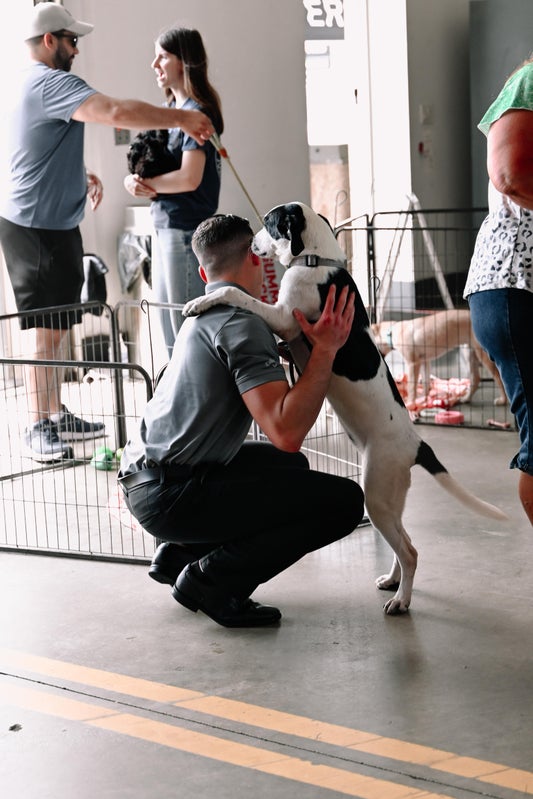 Rides And Rescues Greeting Dog